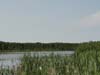 DSC02992.jpg