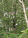 DSC03013.jpg