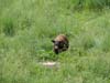 DSC03015.jpg