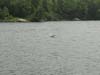 DSC03033.jpg